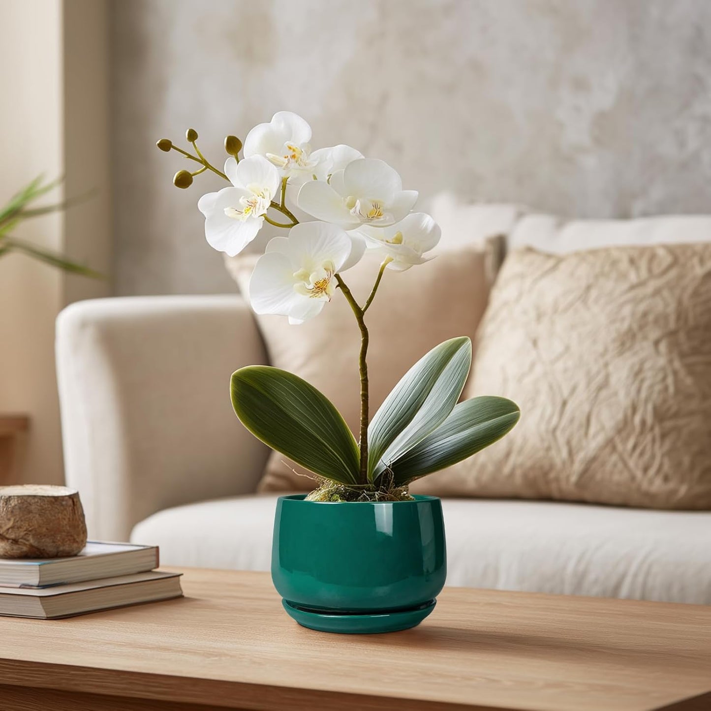 G EPGardening 4 inch Plant Pots - Small Ceramic Planter with Drainage Hole & Tray, Succulent Pots Indoor Outdoor, Round Modern Planter, Decorative Flower Pot, Desk Decor, Gifts for Plant Lover, Green