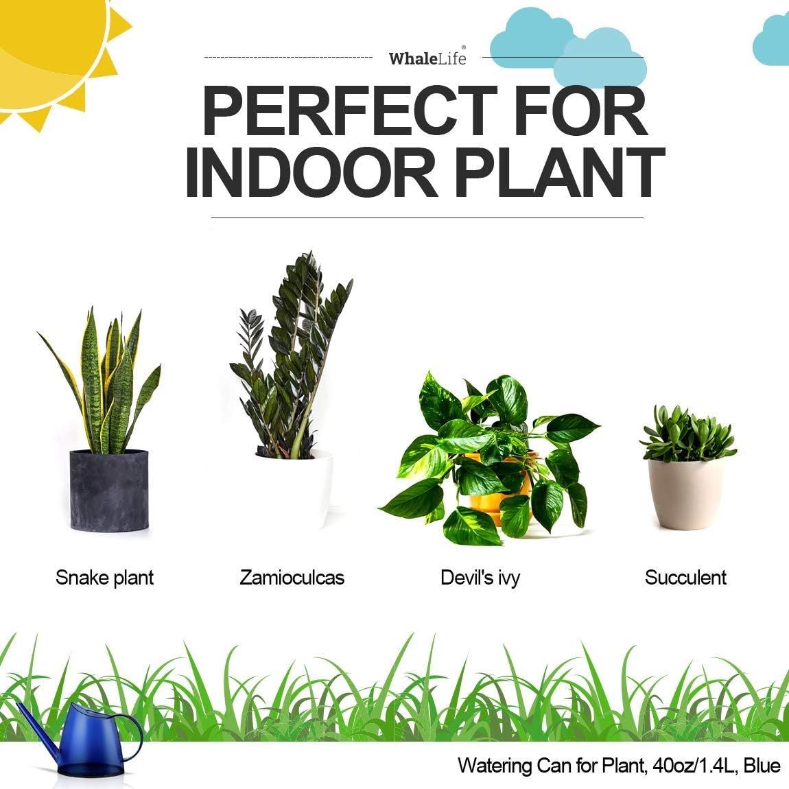 WhaleLife Indoor Watering Can for House Bonsai Plants (1.4L, Blue)