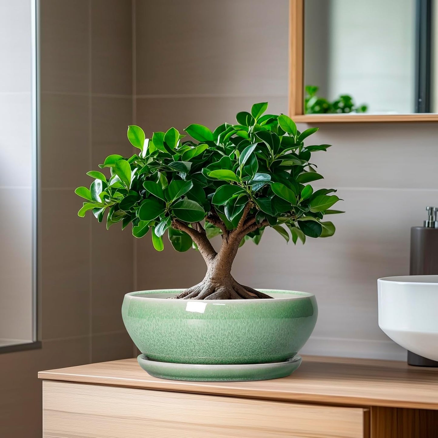 SQOWL Bonsai Planter - 8 Inch Ceramic Succulent Planters for Indoor Plants Outdoor, Shallow Round Planter with Drainage Hole and Saucer, Ceramic Bowl Planters, Home Decor, Birthday Gifts, Green