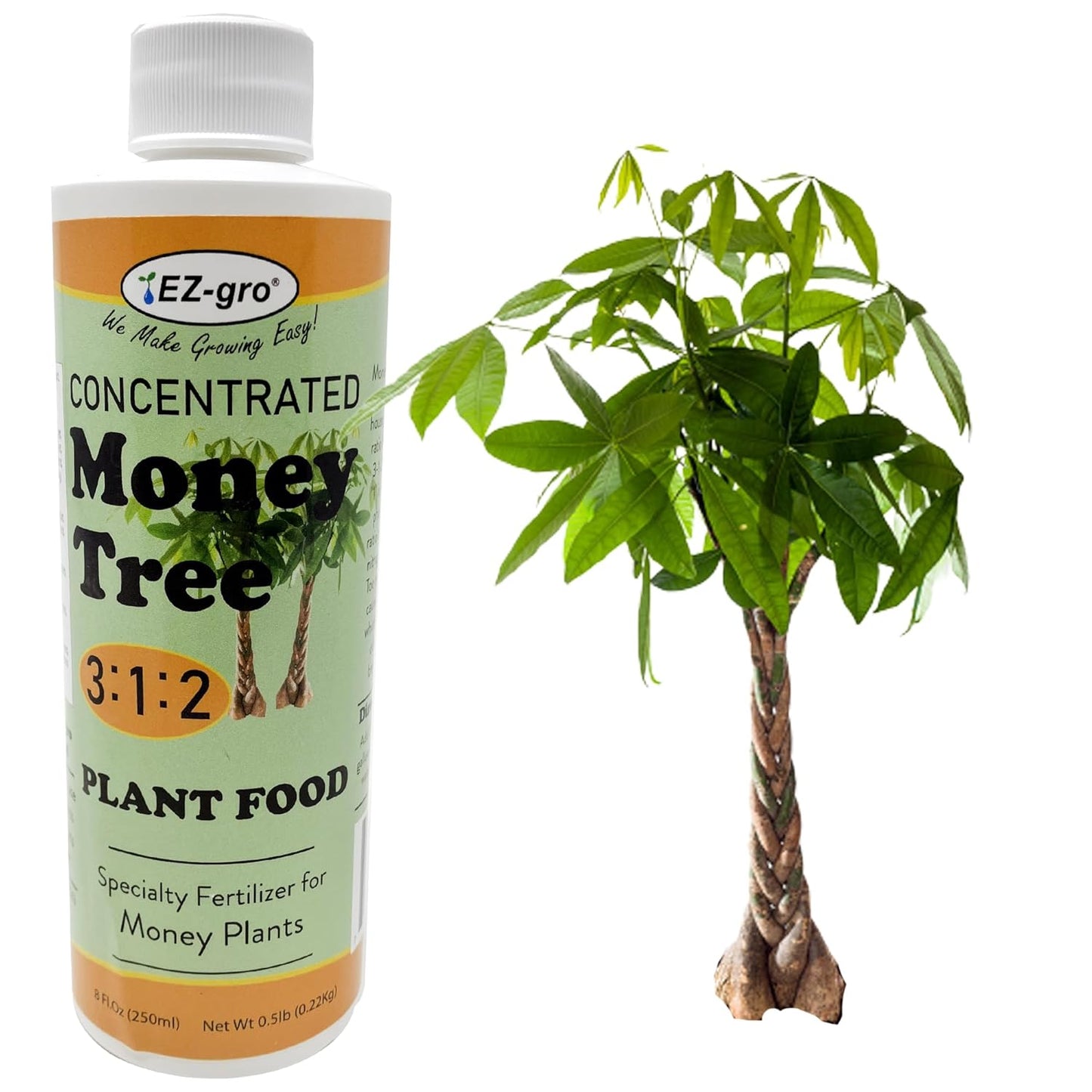 EZ-GRO Professional Liquid Money Tree Fertilizer - 8 oz | Liquid Fertilizer for Money Tree & Houseplants | 3:1:2 Ratio of Concentrated Nutrients for Indoor Plant Food