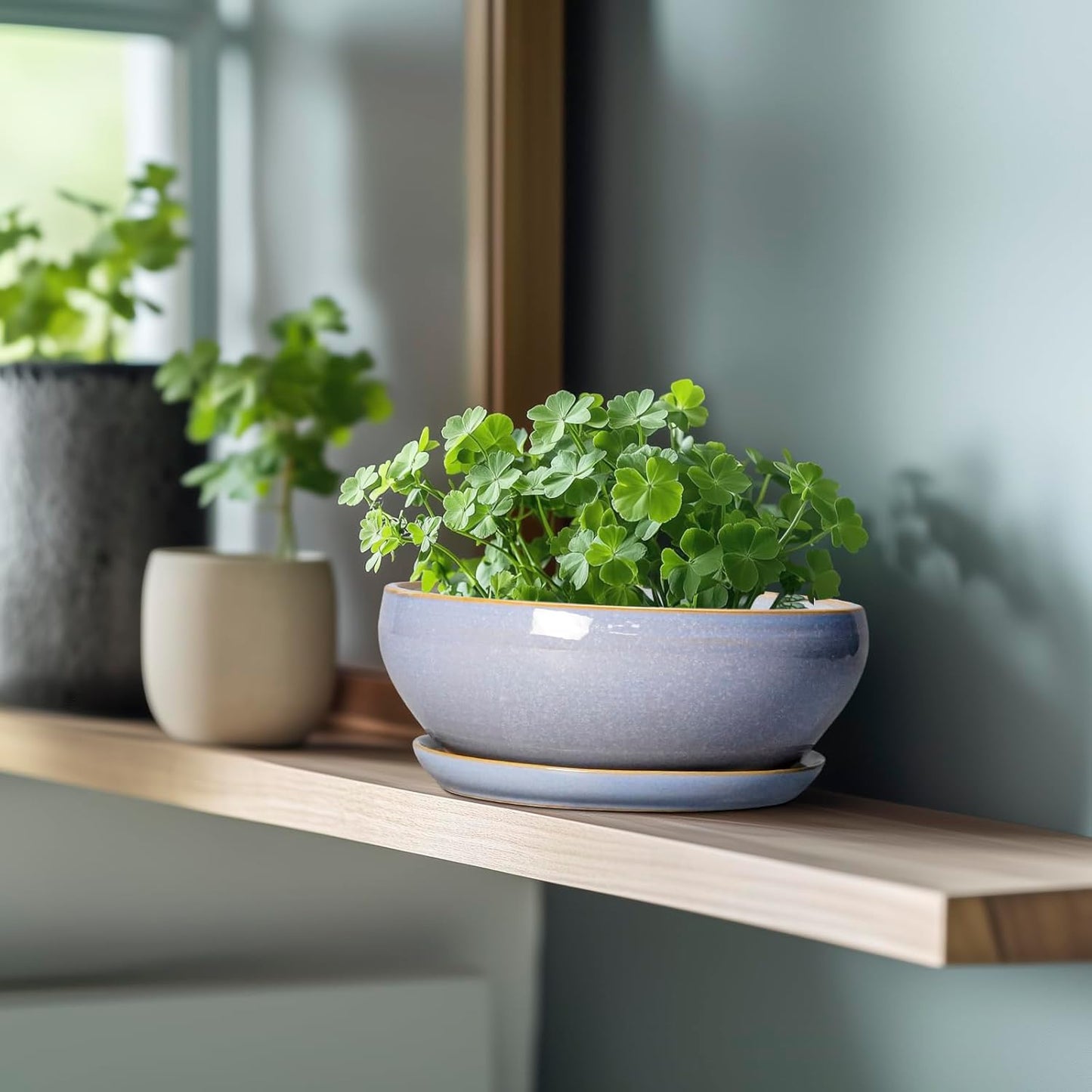 SQOWL Succulent Planters - 8 Inch Ceramic Bonsai Pots with Drainage Hole and Plant Saucer, Shallow Round Planter for Indoor Plants Flower, Bowl Planter Outdoor, Office Decor, House Warming Gift, Blue