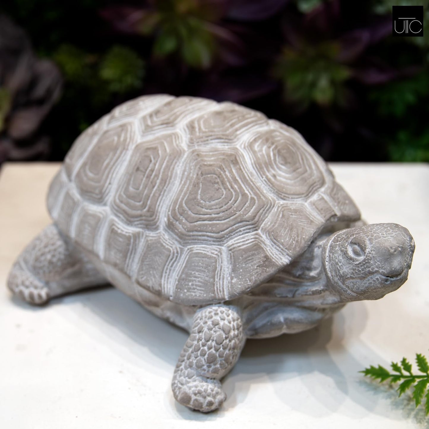 Modern Small Standing Turtle Figurine, Unique Cement Figurines, Handcrafted Decorative Washed Concrete Finish White Sculpture for Home, Garden,Office: 12.50"x9.00"x5.75"H