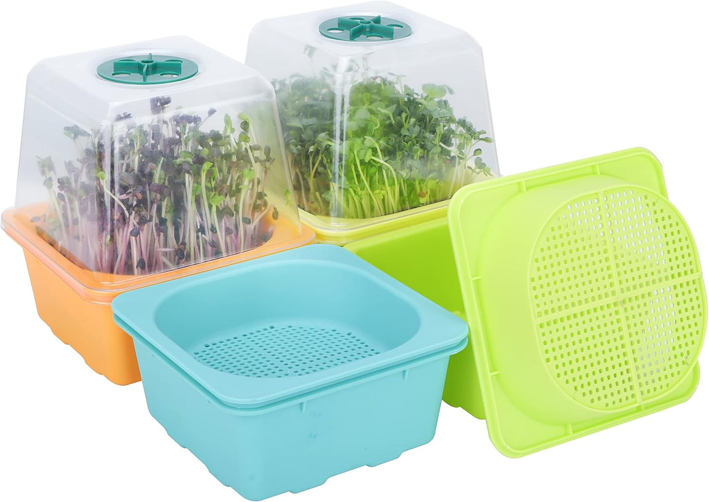 Microgreen Growing Trays, LUVCSOY Sprouting Tray with Humidity Dome, 3mm Large Mesh Holes, BPA Free, Sprouter Kit for Growing Large Seeds, Like Sunflower, Mung Beans, Green Pea - 4 Pack | Colorful