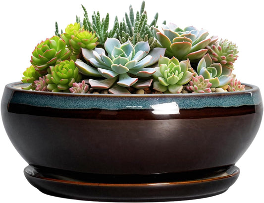 SQOWL Succulent Planters 8 Inch - Ceramic Bonsai Pots with Drainage Hole and Ceramic Saucer, Round Shallow Planter for Indoor Plant, Bowl Planter Outdoor, Desk Decor, Gift for Plant Lover, Blue-Brown