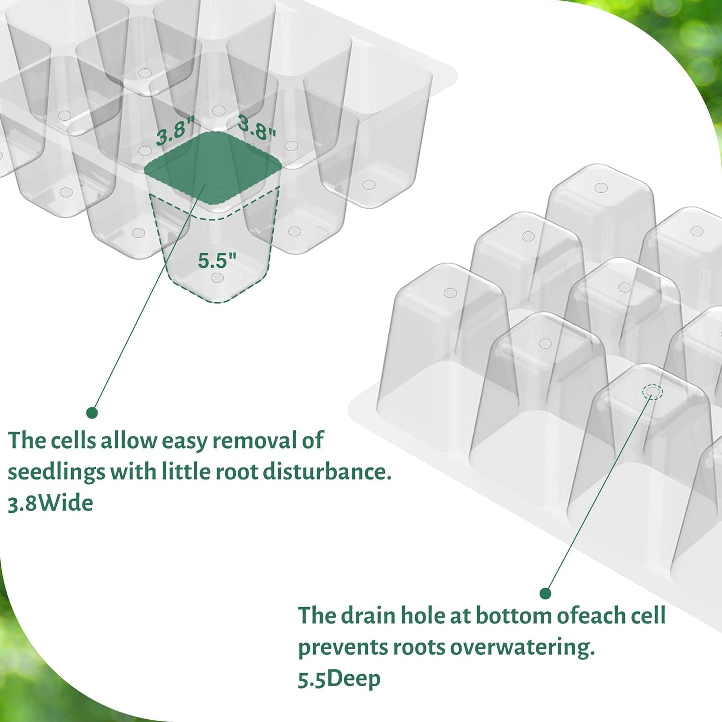 MIXC 5 Pack 1020 Seed Starter Trays with 3.6" Humidity Dome Plant Growing Tray Germination Seed Starting kit, Mini Greenhouse with Handle for Cloning Plant
