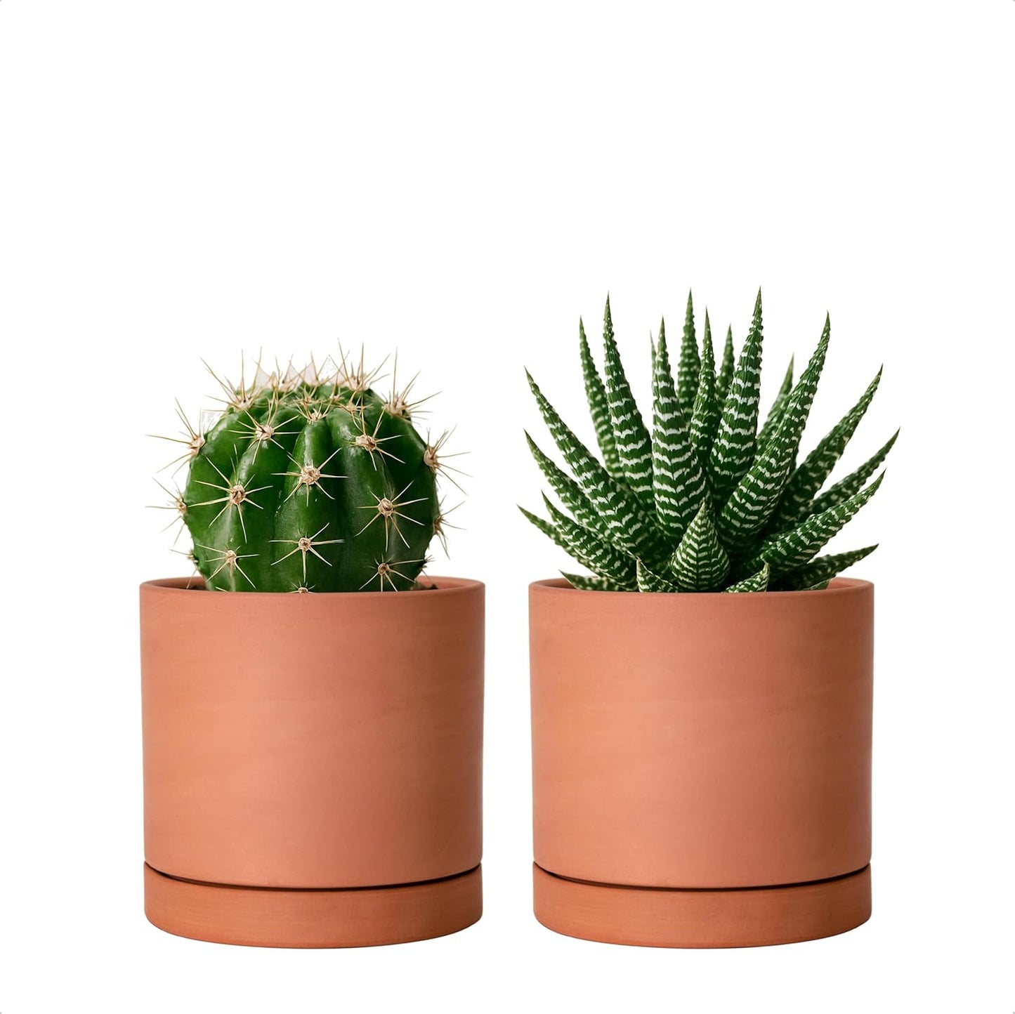 D'vine Dev X-Small 4 Inch Terracotta Plant Pot with Drainage Hole and Saucer, Round Cylinder Planter Pot for Indoor Plants, Set of 2, 40-X-B-1