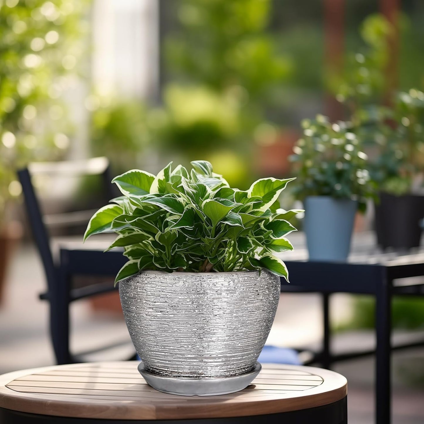 Ceramic Planter - 6 Inch Plant Pot Indoor with Drainage Hole and Saucer Outdoor Pot for Plants Round Decorative Planter Modern Mid-Century Flower Pot for Office Decor Silver