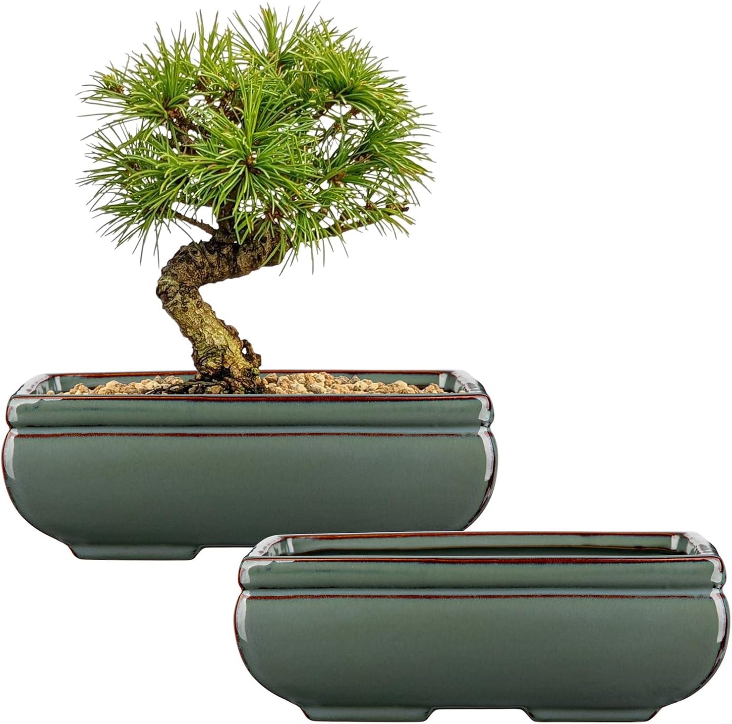 Ceramic Bonsai Pots with Drainage Hole Set of 2, Green Glazed Bonsai Planters for Indoor/Outdoor Use, Rectangular Shallow Bonzai Tree Pot for Succulent, Orchids, Cacti, Home, Patio, Garden, 8.7"x5.9"