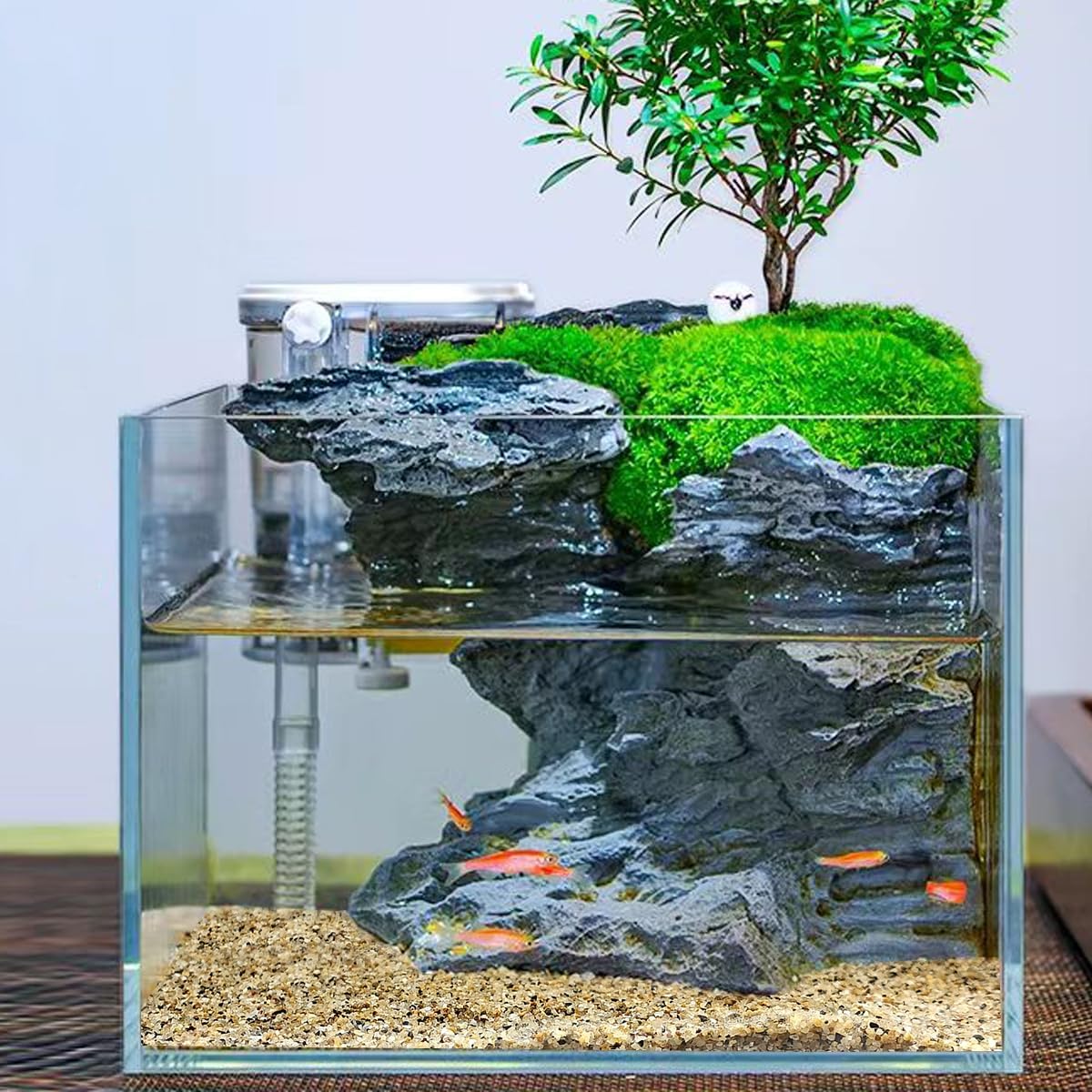 10lbs Aquarium Gravel, 1/8"(2-4mm) Natural River Rocks Succulent Cactus Pea Gravel for Plants, Fish Tank, Decorative Pebbles for Gardening, Flower Pots, Vase Fillers, Landscaping