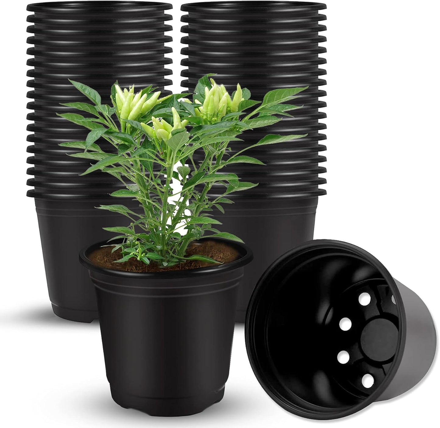 Augshy 40 Pcs 4" Black Plastic Plant Nursery Seed Starting Pots for Succulent Seedling Cutting Transplanting