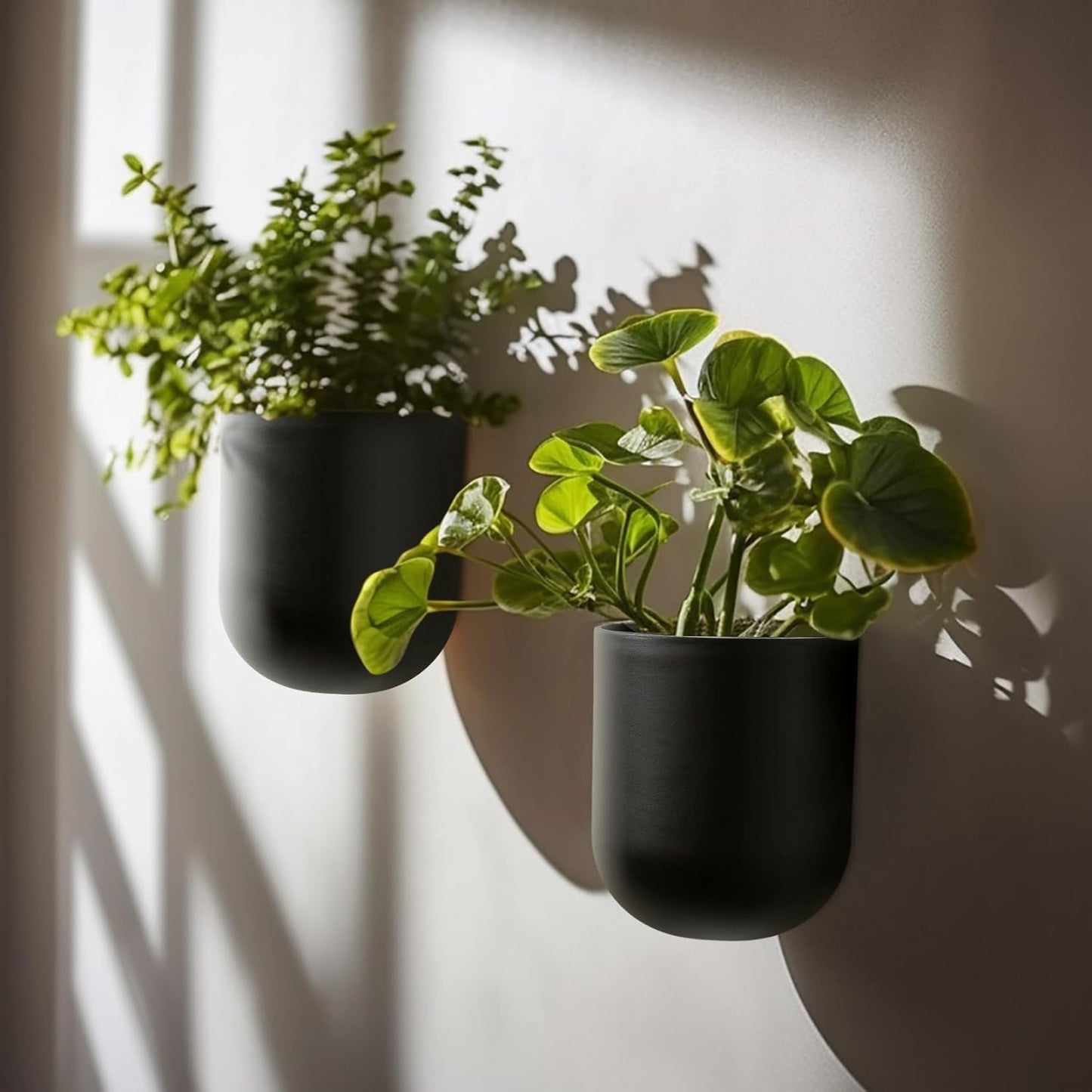 LA JOLIE MUSE Wall Hanging Planters for Indoor Plants，Hanging Flower Pots for Air Plants Succulent, Set of 2, 5.7L*4.1W*7H, Black