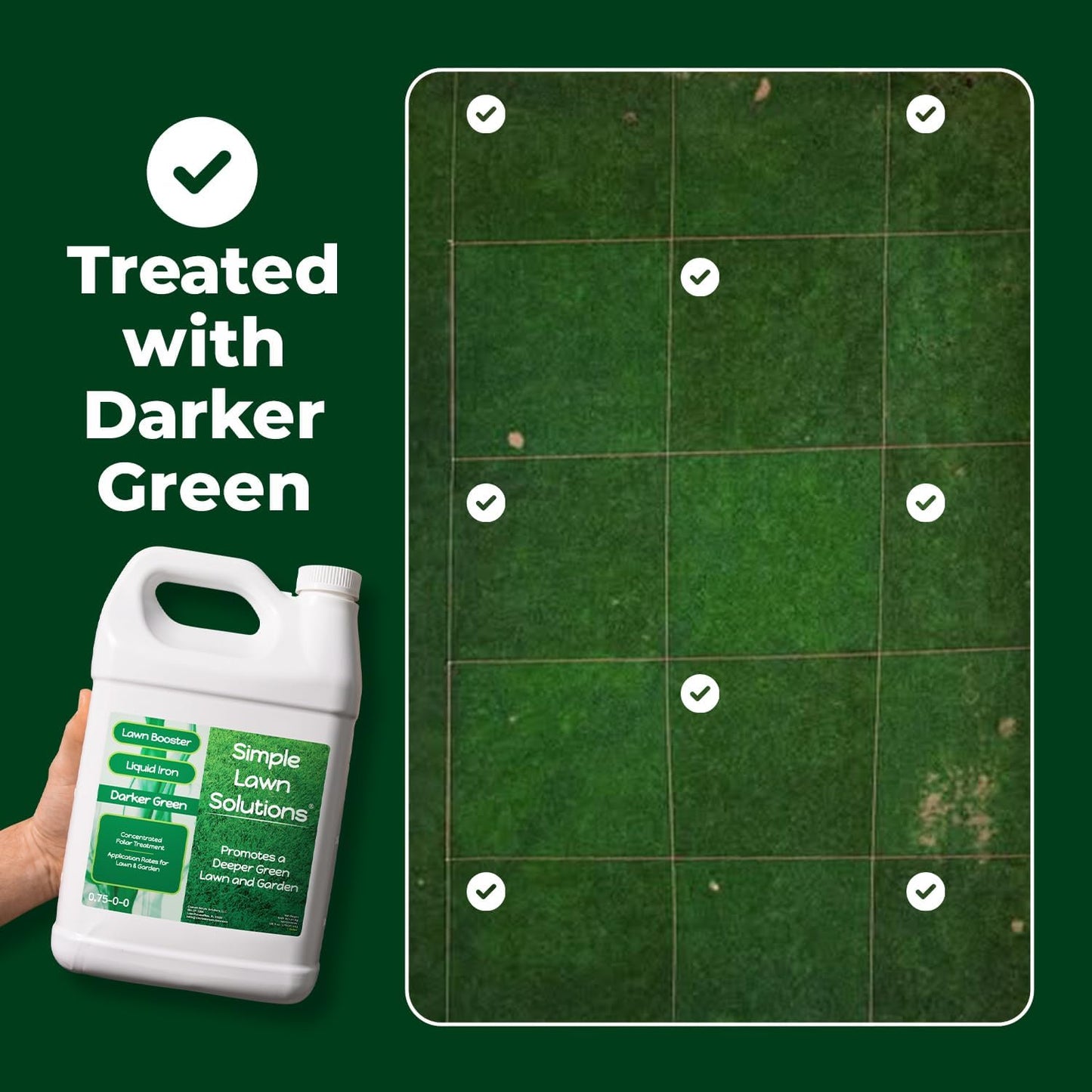 Simple Lawn Solutions - Liquid Iron Fertilizer Darker Green - Chelated Micronutrients - Concentrated Spray Booster for Turf Grass, Indoor Plants and Outdoor Garden (1 Gallon)