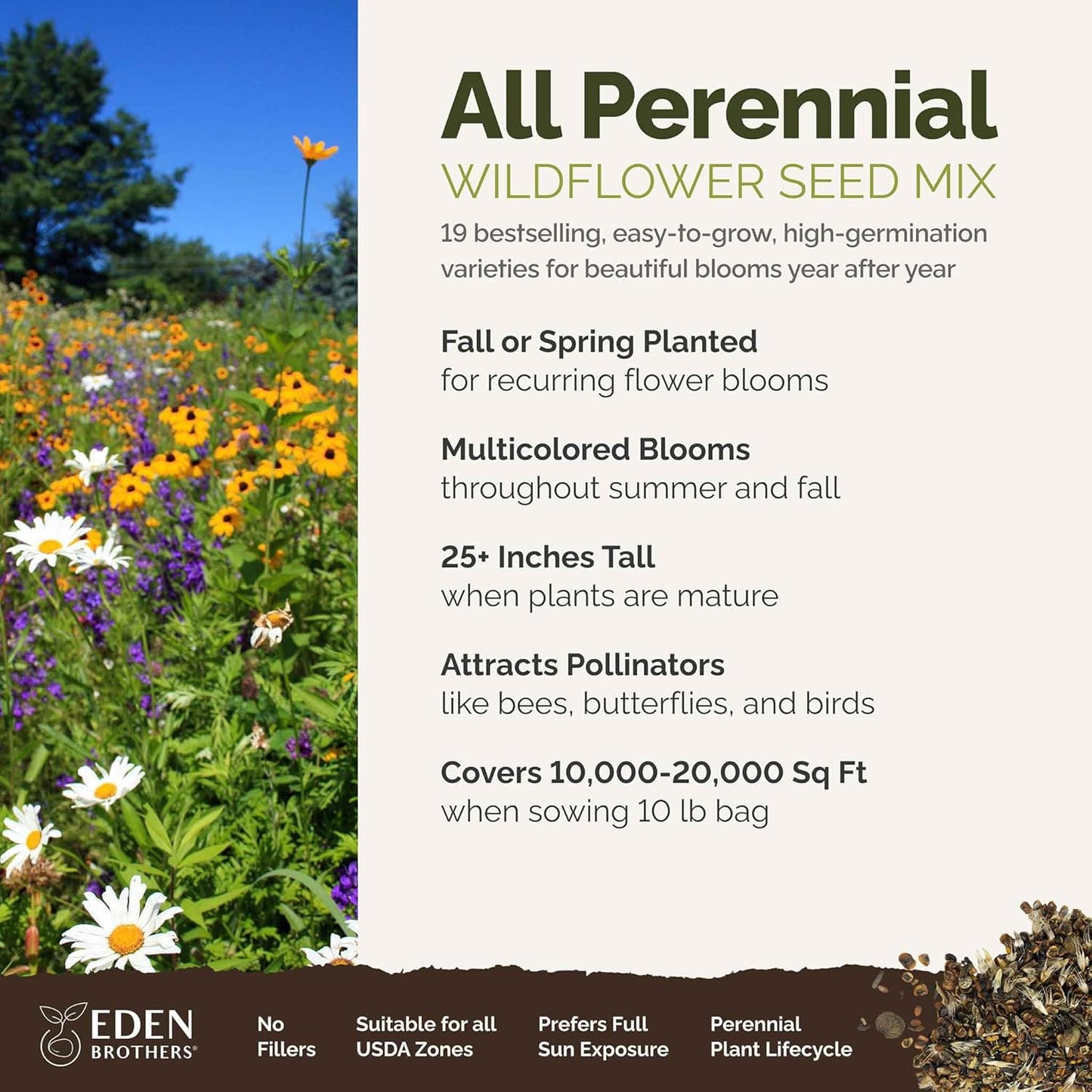 Eden Brothers All Perennial Wildflower Mixed Seeds for Planting, 10 lb, 4,800,000+ Seeds with Lupine, Shasta Daisy | Attracts Pollinators, Plant in Spring or Fall, Zones 3, 4, 5, 6, 7, 8, 9, 10