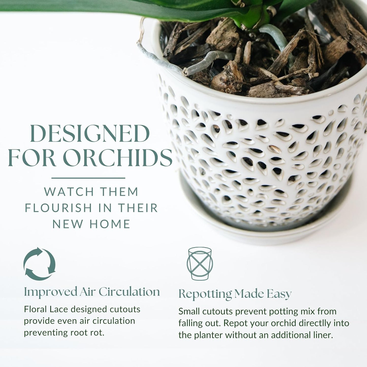 Elegant Orchid Pot with Holes, Large 6.5 inch Premium Porcelain Ceramic Orchid Pot for Repotting, Durable Ceramic Planter with Removable Saucer for Easy Drain, Planter Gifts for Moms