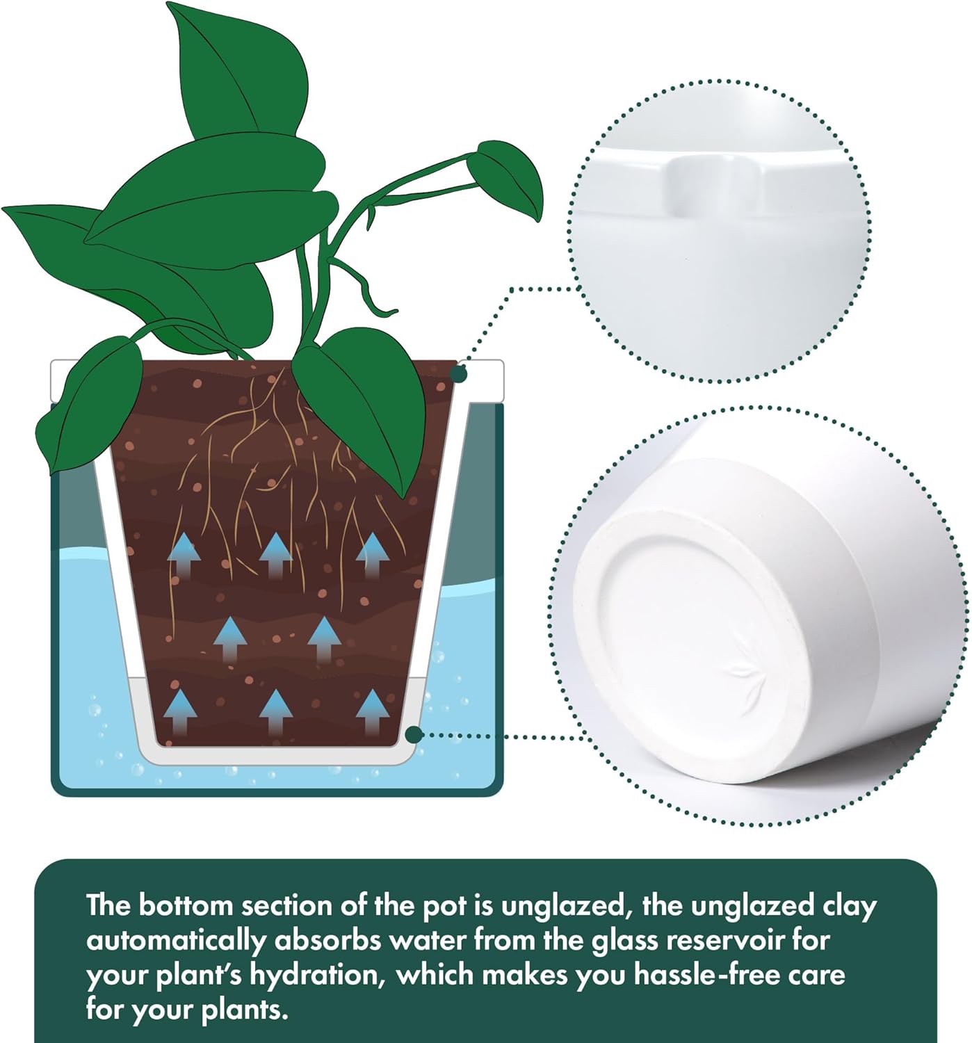 D'vine Dev 8 Inch Design Self Watering Planter for Indoor Plants, White Terracotta Pot with Teal Cylinder Glass Cup, 37-X-C-5