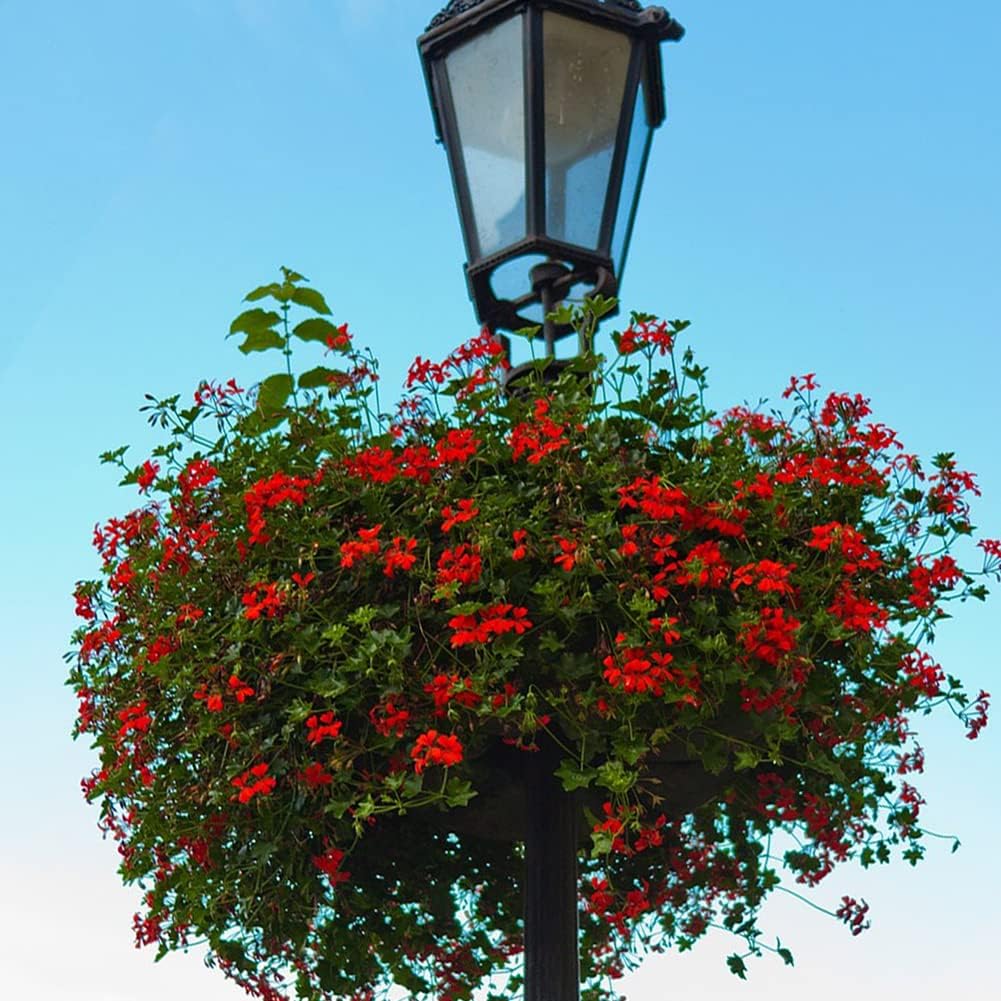4PCS Hanging Basket Liner Coco Liner for Hanging Basket12 Inch Round Plant Basket Liners Coco Fiber Liner for Planters Coconut Coir Liner Flower Pot for Hanging Basket