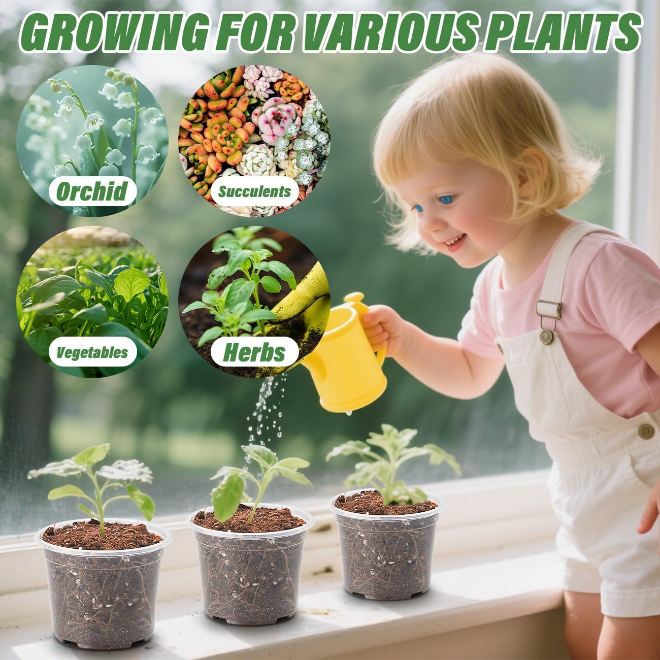 Clear Seedling pots 100-Pack 3.2 Inches Round for Seeds Starter Pots, Seeds Germination Transparent Clean Pots with Drainage Holes(100 Pcs, 3.14Inch)