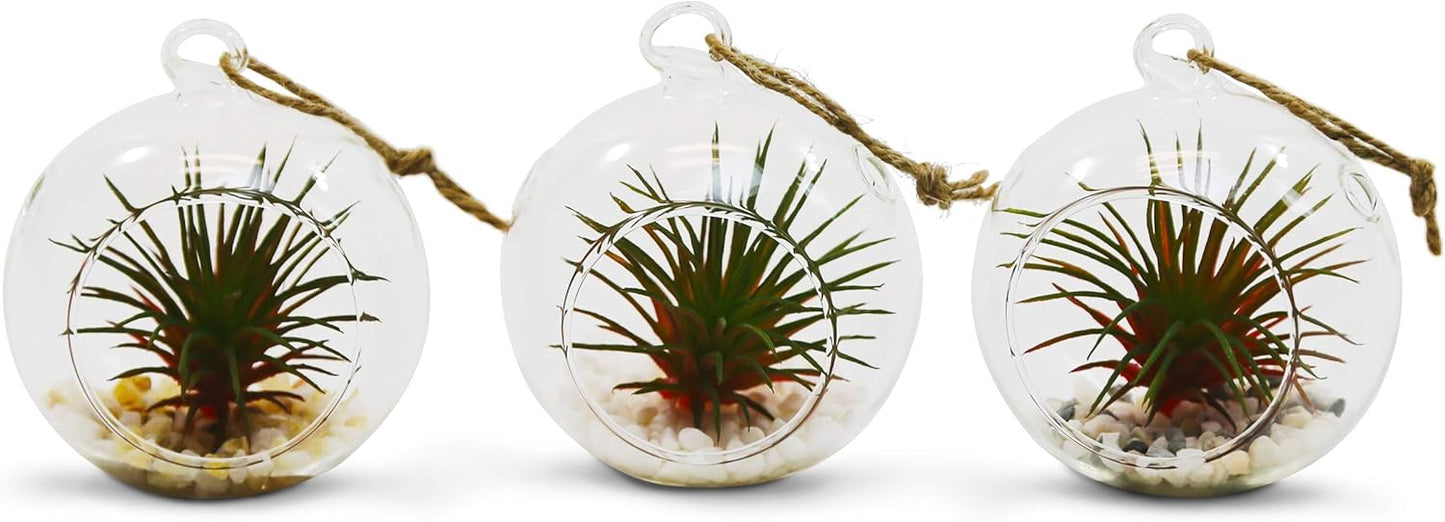 WGV Hanging Terrarium Globe, Width 2.5", Height 3", DIY Air Succulent Planter, Clear Glass Vase Orb with Flat Bottom, Candle Holder for Windowsill Outdoor Garden Decor, 24 Pieces Bulk