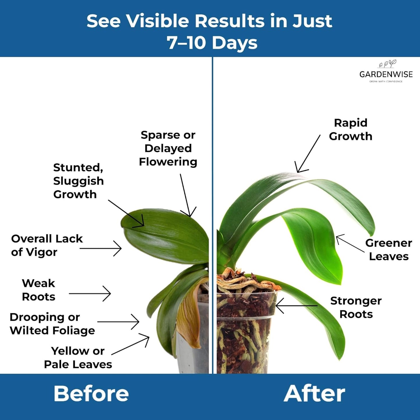 20-20-20 Water-Soluble Fertilizer – Powder for Liquid Plant Food for Indoor & Outdoor Plants, Orchids, Vegetables, Lawns, Flowers – 20 20 20 Fertilizer 1 Quart (2 lbs)