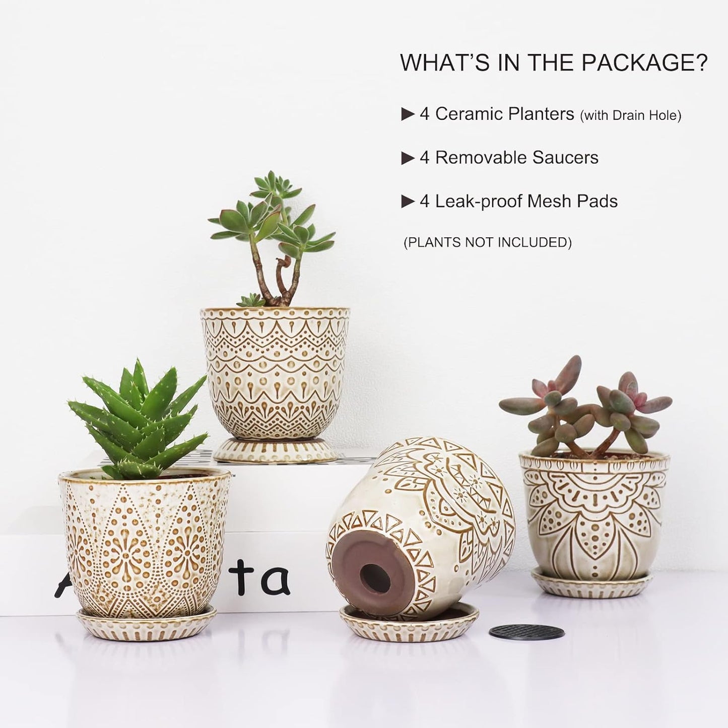 Gepege Succulent Pots, 4 Inch Small Indoor Ceramic Planter Pot with Drainage Holes and Saucers for Plants- Creamy White - Set of 4