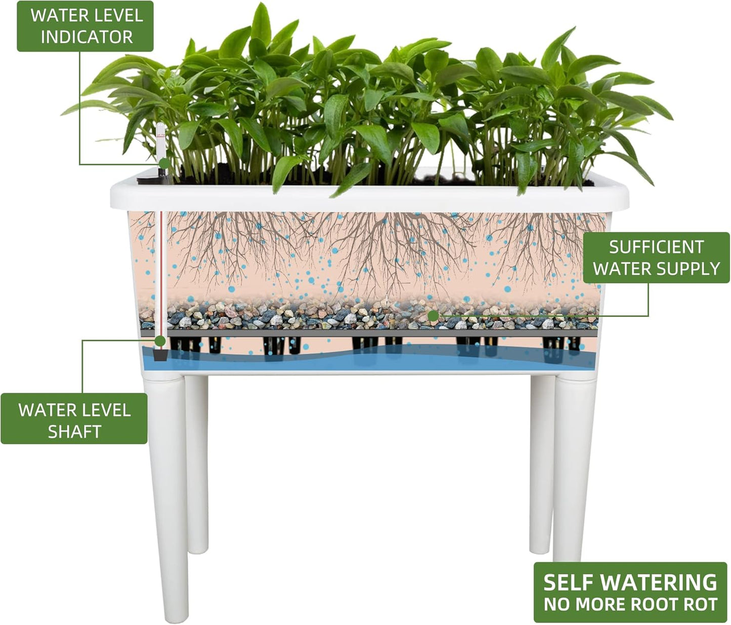 Dexceder 13.2 Gallon Self Watering Raised Garden Bed with Ventilation Transparent Lid Greenhouse, Deepen Vegetable Flower Box Planter Pot with Removeble Legs & Water Level Indicator (White)