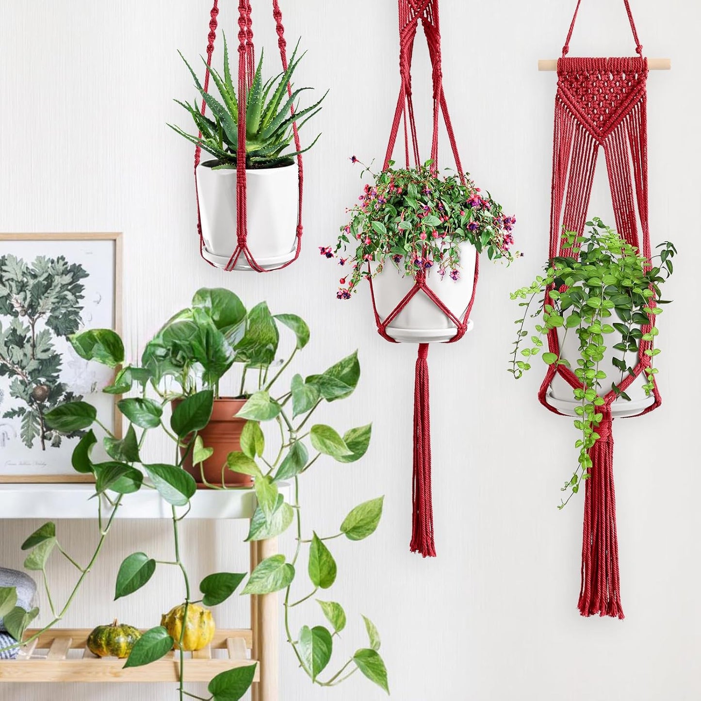 Macrame Plant Hangers, 6Pack Hanging Planters for Indoor Plants w/ 6 Set Hangers Kit Handmade Macromay Plant Hangers Indoor Flower Pots Holder Stand for Boho Home Décor (POTS NOT Included)