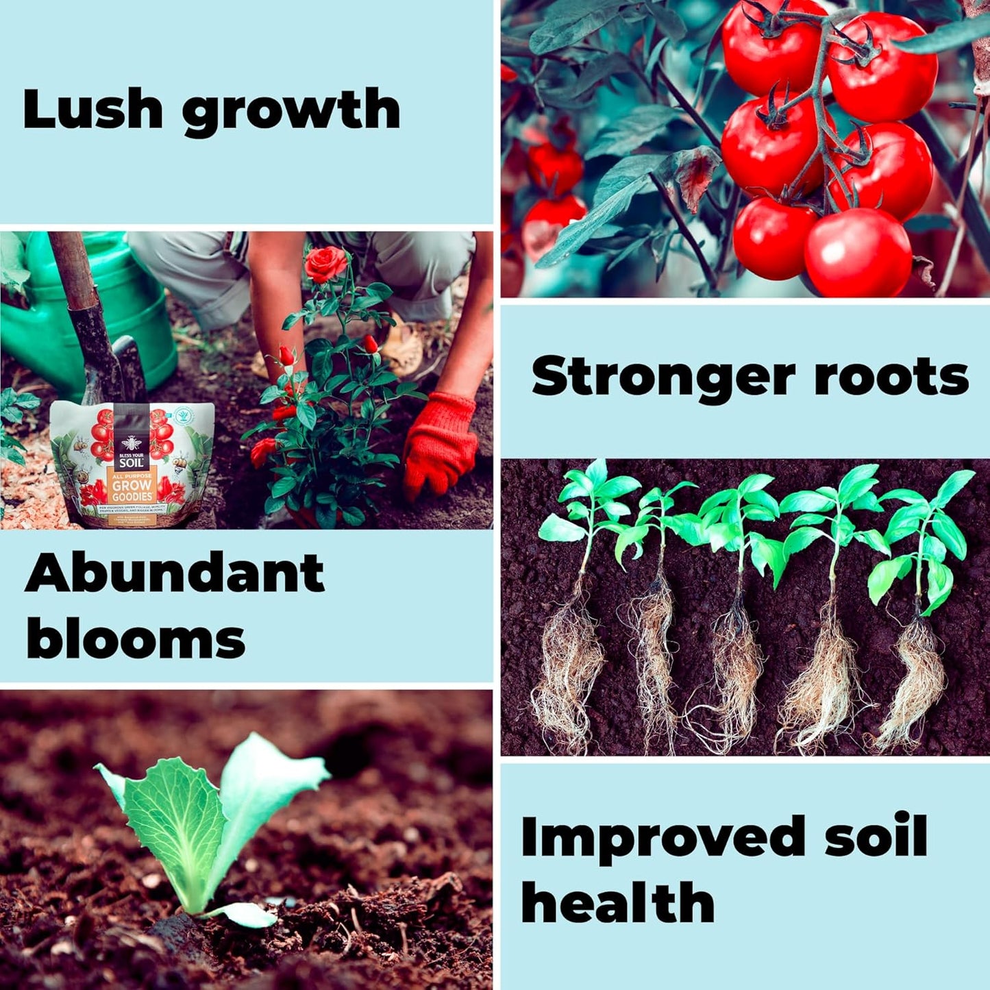 All Purpose Plant Food - Grow Goodies, High-Performance Fertilizer, Triple 16 NPK + Organic Superfoods and Micronutrients (Roses, Vegetables, Orchids, Tomatoes, Gardens, 1LB)