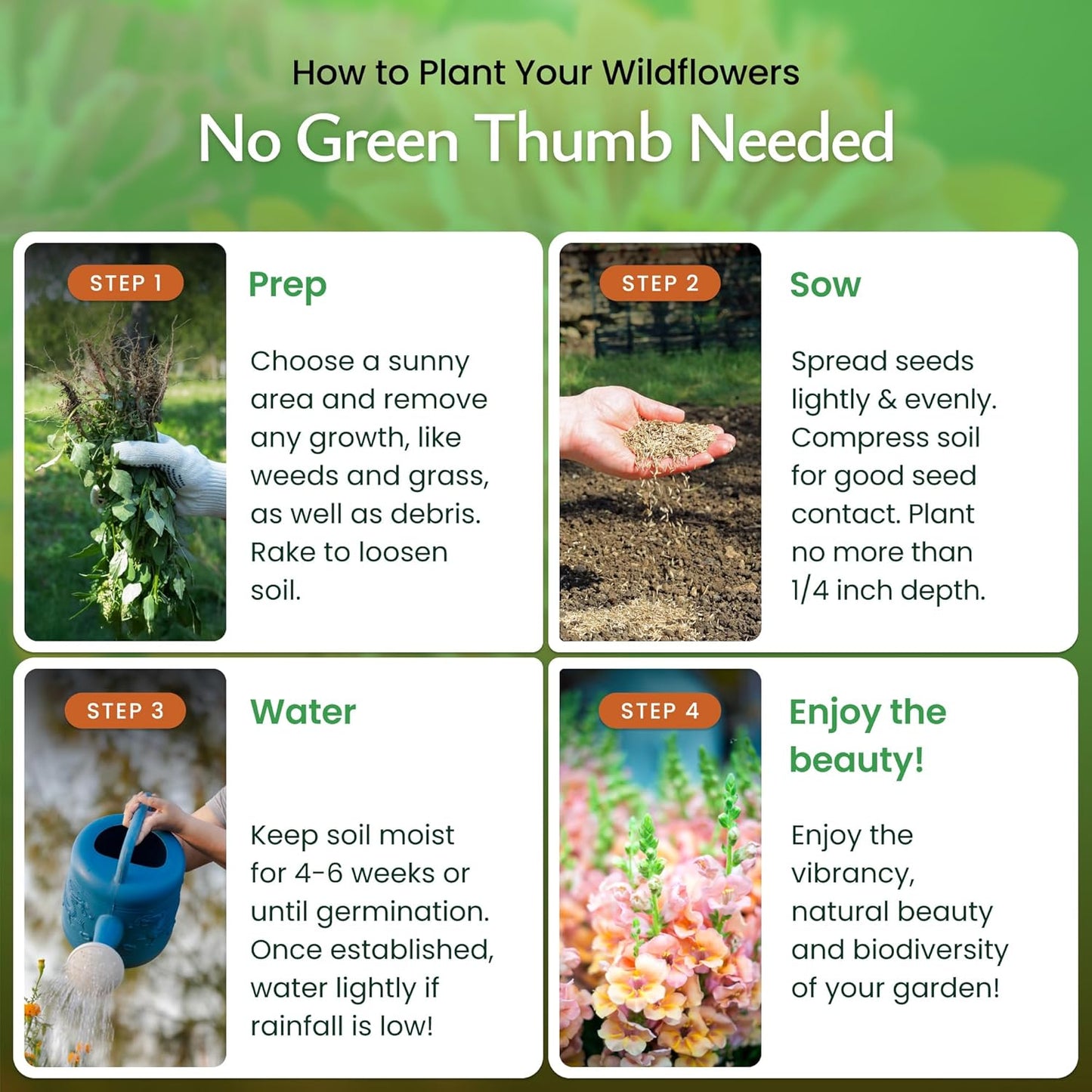 Created By Nature Hummingbird & Butterfly Wildflower Seed Mix, 18 Varieties, 60,000 Wildflower Seeds