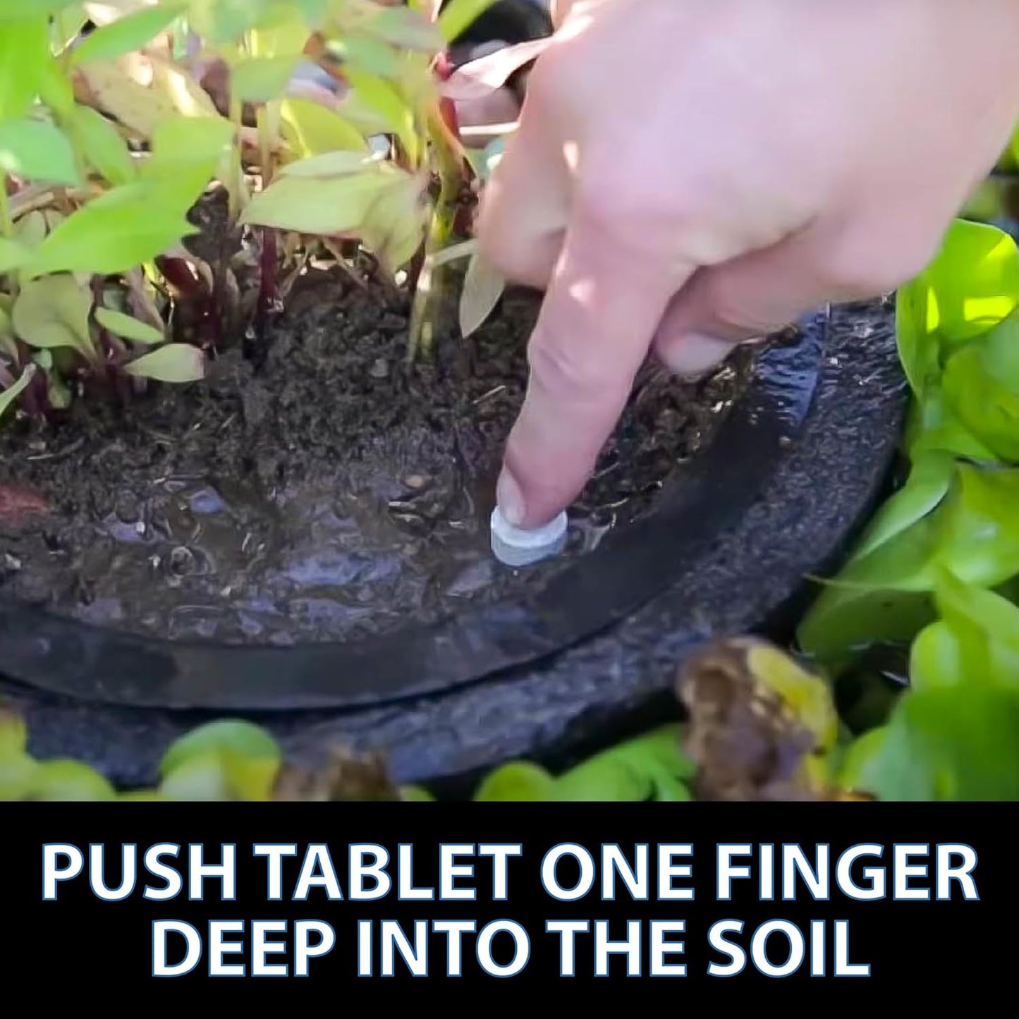 CrystalClear Thrive Aquatic Pond Plant Food, Fish Safe Water Garden Fertilizer, Nutrients Boost Lily & Lotus Flower Bloom & Root Growth, 200 Tablets