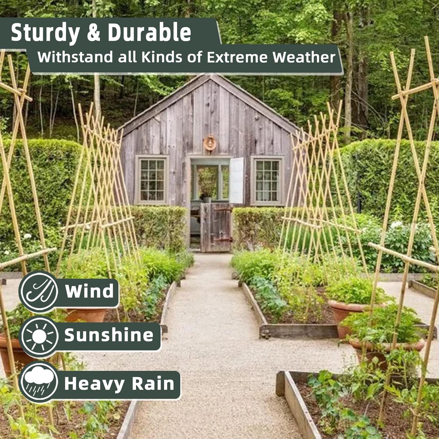 50Pcs / 18 inch Bamboo Plant Stakes for Indoor Outdoor Plants, Garden Plant Support Sticks, Poles for Tomato Vegetables Beans Trees Potted Climbing Plants(0.32''-0.4'')