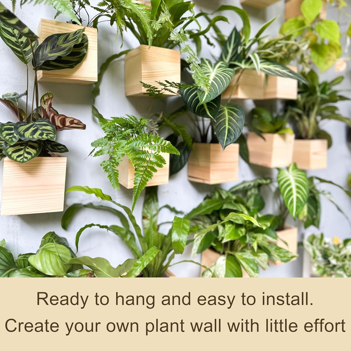 LaLaGreen Wooden Planter Box for Plants (4x4 Inch, 4 Pack) Small Square Wall Planters for Indoor Plant, Natural Wood Hanging Flower Pot Herb Planter Table Centerpiece Modern Home Garden Office Decor