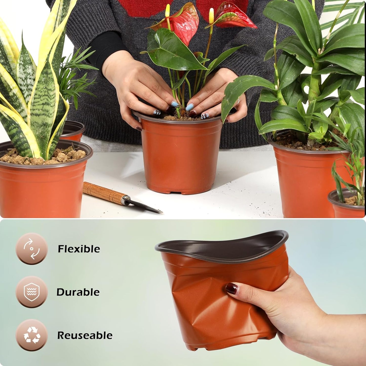 200 Pack 6 Inch Plastic Nursery Pots for Plants, Seedling Pots Succulent Pots Flower Pots with Drainage Holes, Come with 200pcs Plant Labels