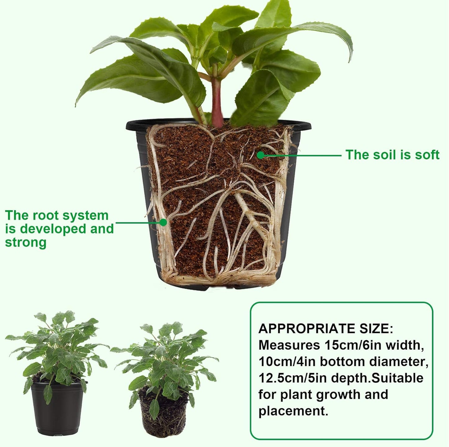 Augshy 75 Pcs 0.5 Gallon Black Plastic Plant Nursery Garden Pots 6 Inches Seed Starting Pots Containers with 100 Labels