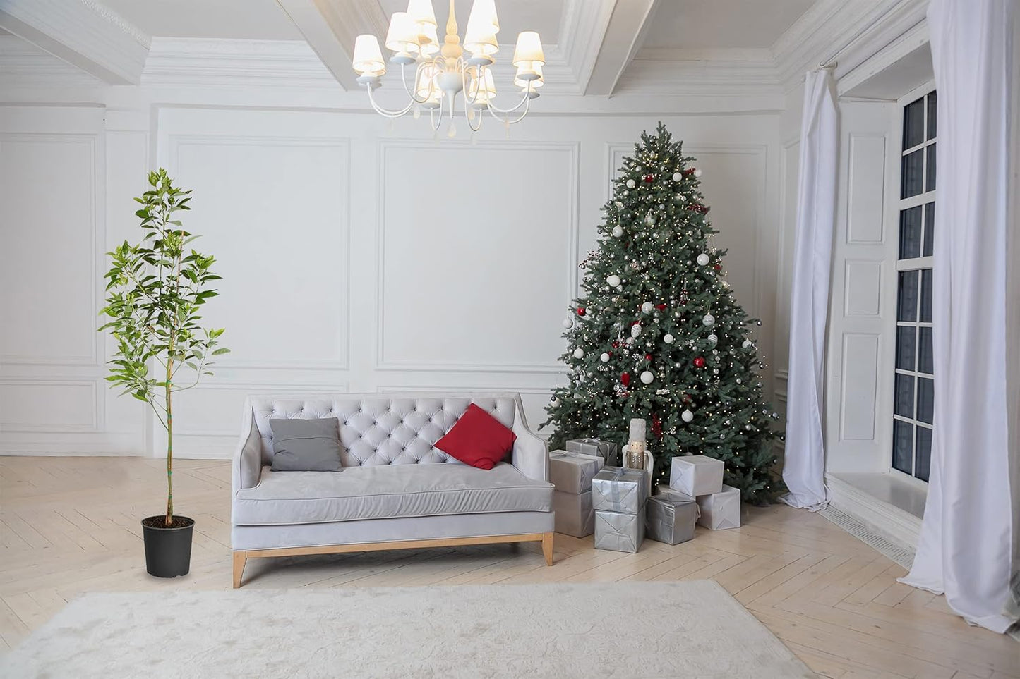 Brighter Blooms - Cold Hardy Avocado Tree, 5-6 ft. - No Shipping to AK, AZ, HI, OR