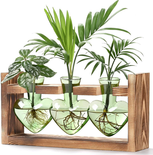 Lifecapido Heart Shaped Propagation Stations, Plant Terrarium with Wooden Stand, Plant Propagation Station for Hydroponics Office Garden Home Decor, Gifts for Women Plant Lover (3 Vases, Mint Green)