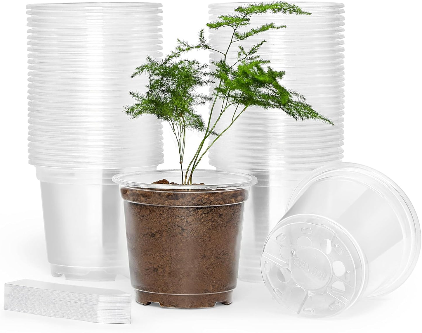 60 Pack 4 Inch Clear Nursery Pots with Drainage Holes, Transparent Plastic Plant Pot, Reinforced Seed Starter Pots Flower Pots Come with 50pcs Plant Labels