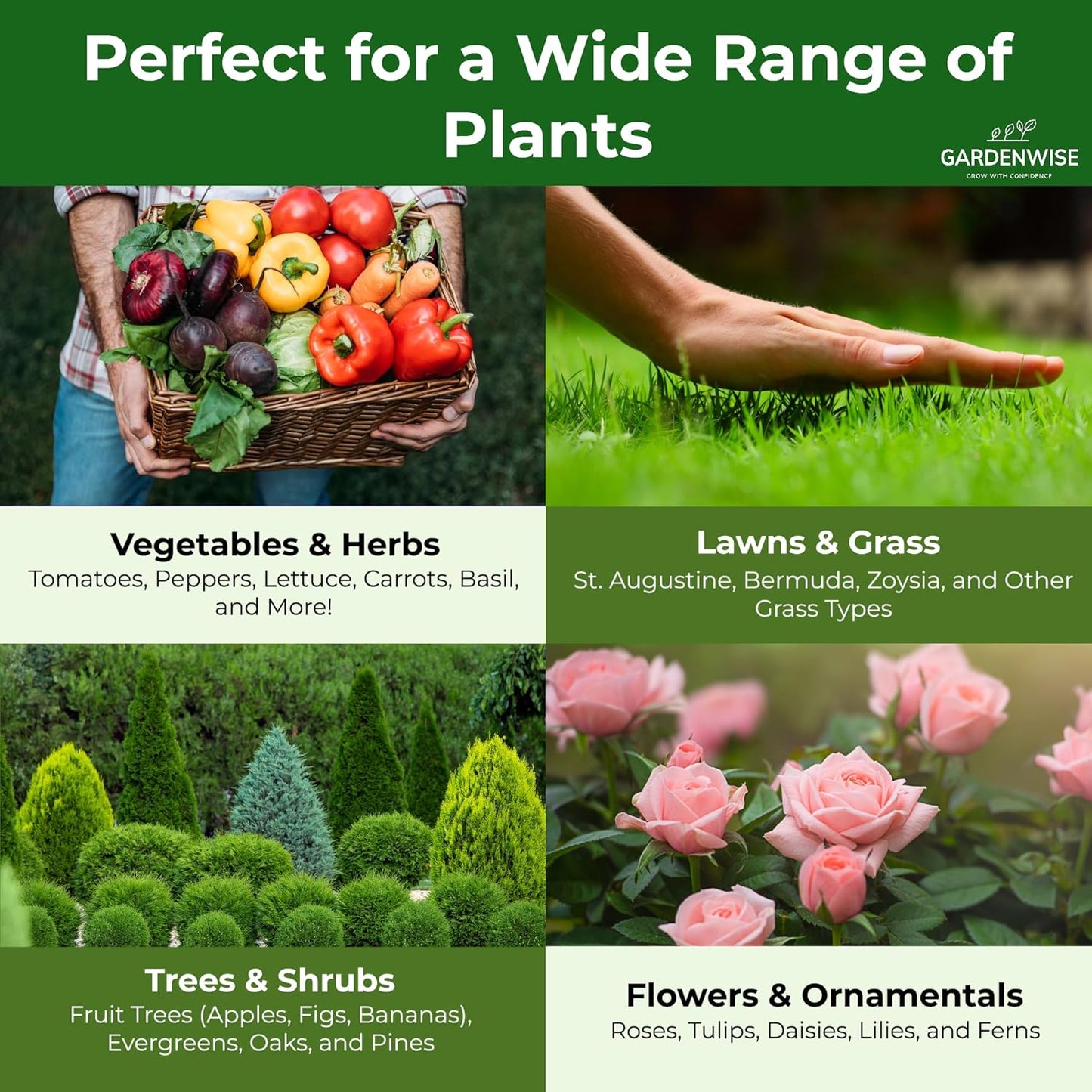 10-10-10 Plant Fertilizer Slow Release - 10 10 10 All Purpose Granular Garden Fertilizer for Vegetables, Tomato, Arborvitae, Shrubs, Rose, Flowers, Fruit, Fig Trees (4 QUARTS)