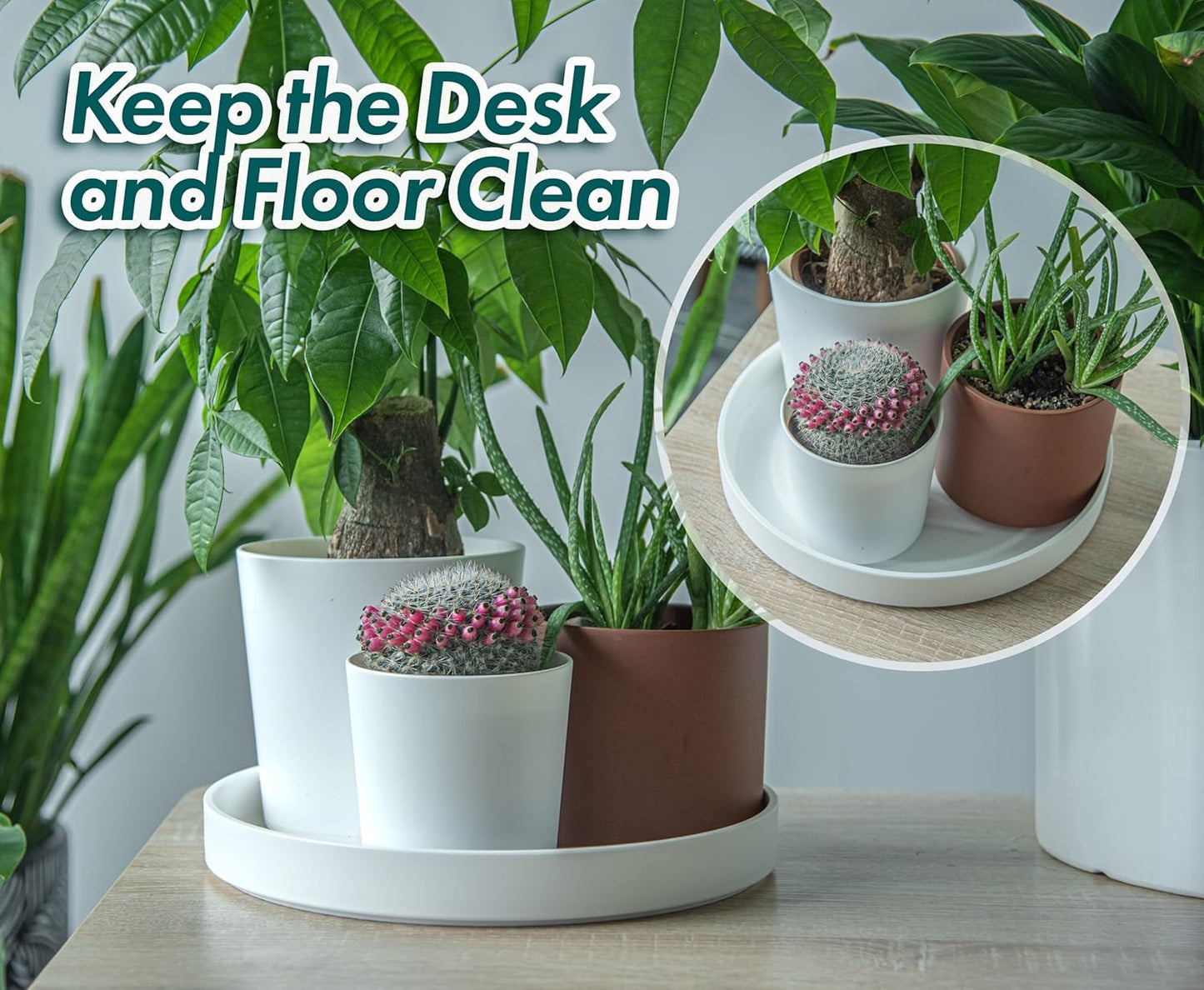 Phoenix Vine 12 Inch Plastic Plant Saucer Water Drip Tray, Heavy Sturdy Round Plant Drainage Tray for Indoors Outdoor, Matte White, 21-TY-12W-1