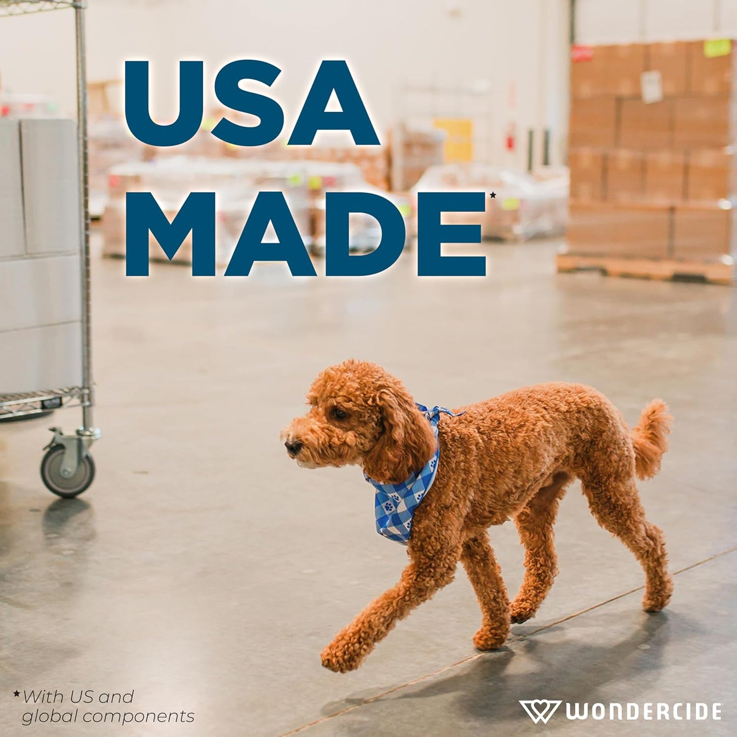 Wondercide - Mosquito, Tick, and Insect Repellent with Natural Essential Oils - DEET-Free Bug Spray and Killer - Safe for Family - Peppermint 2-Pack of 4 oz Bottle