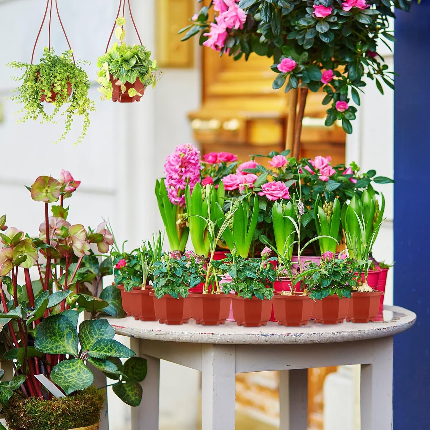 Roshtia 24 Pcs Hanging Plastic Planter Pot with Hook Flower Pots Baskets Hanging Nursery Planter Holder for Outdoor Indoor Plant Garden(Brown,3.7 Inch)