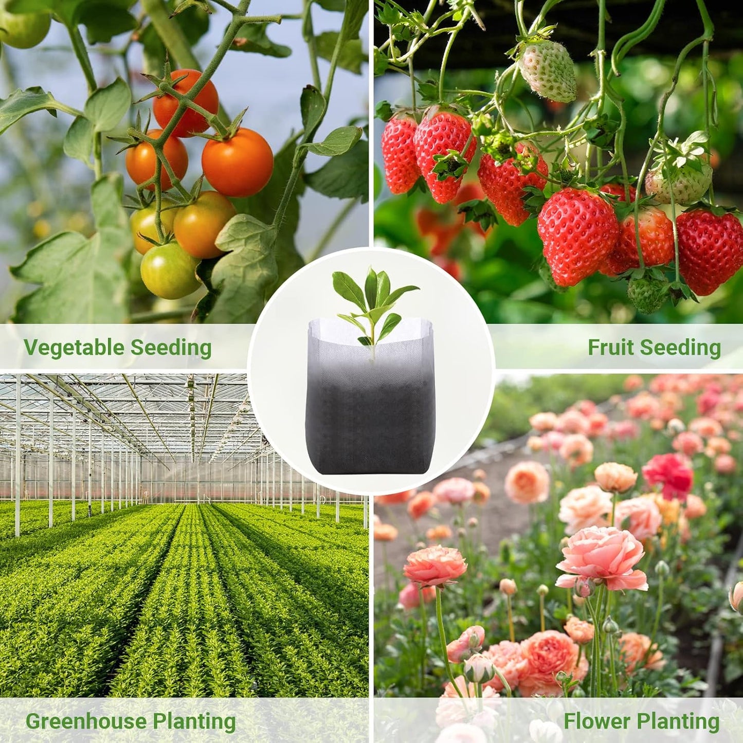 GREANER Fabric Seedling Plant Grow Bags, 200 PCS Non-Woven Plant Nursery, 9.8x11 inches Biodegradable Plant Starter Bags for Tree, Flower, Vegetable, Fruit, Saplings, Home Garden Supply