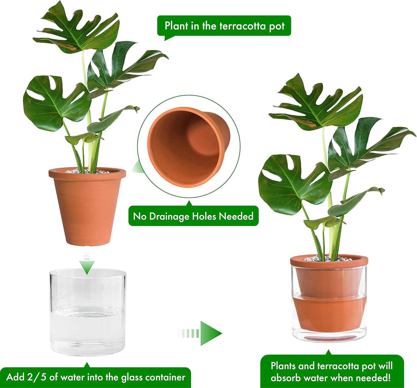 D'vine Dev 6 Inch Design Self Watering Pot for Indoor Plants, Terracotta Planter with Cylinder Glass Cup, 37-X-B-1