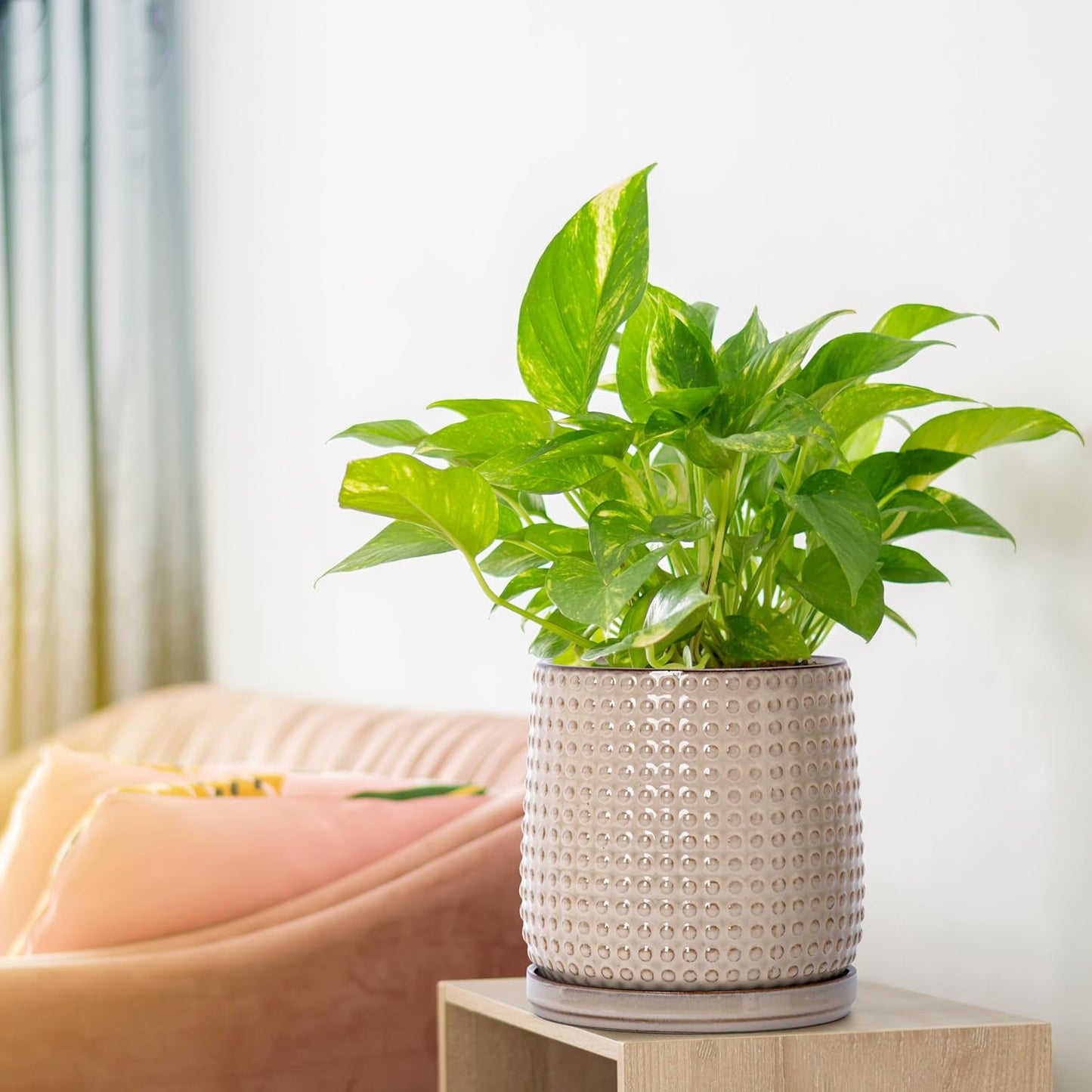 D'vine Dev 6 Inch Ceramic Beaded Stoneware Planter Pot - Flower Pot with Drainage Holes and Saucers for Indoor Succulent Plants or Flowers, Light Brown, 27-C-X-4