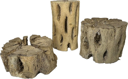 3 Natural Cholla Wood Air Plant Display Holders Tiered 1, 2 & 3 inch Individually Unique Round Decorative Stands