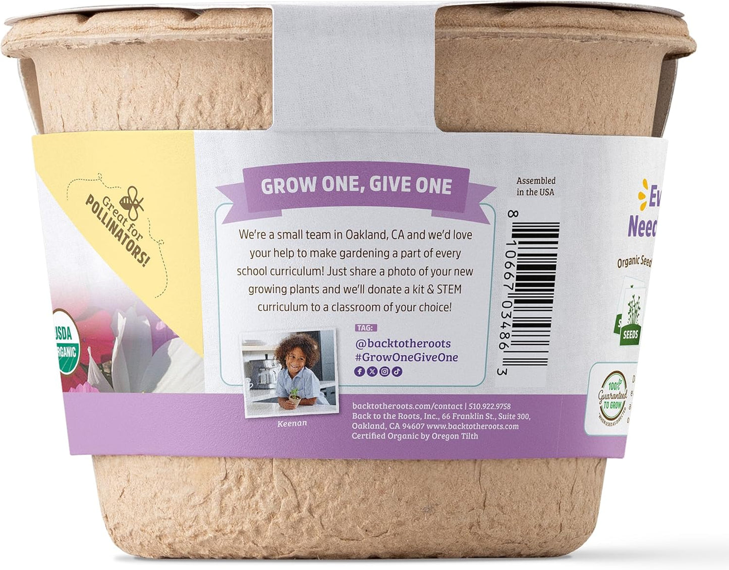 Back to the Roots Organic Cosmos Flower Grow Kit with Plantable Starting Pot Soil and Seeds