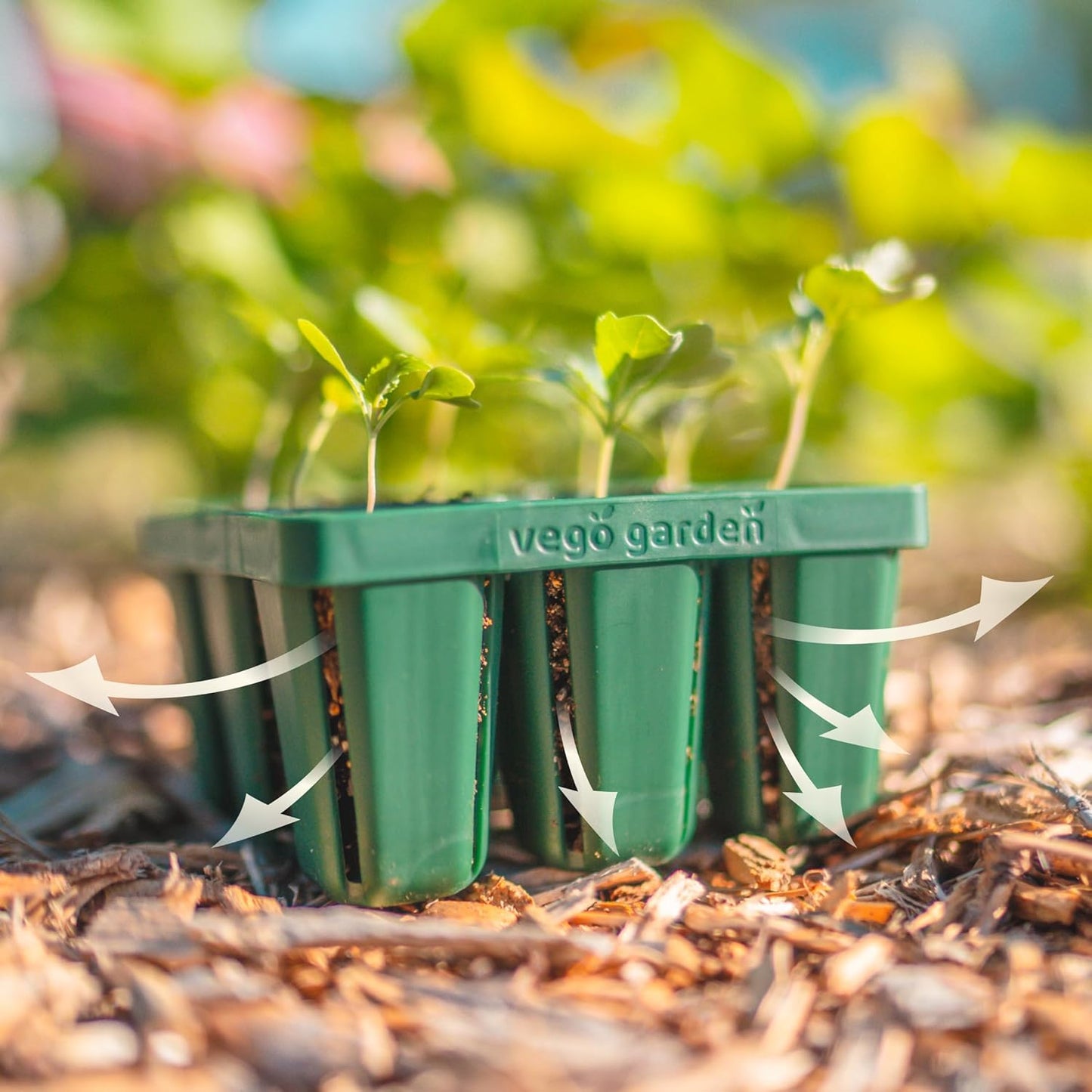 Vego garden Seedling Suite Products, 4 Pack Standard Seedling Trays with 10" x 10" Bottom Watering Trays