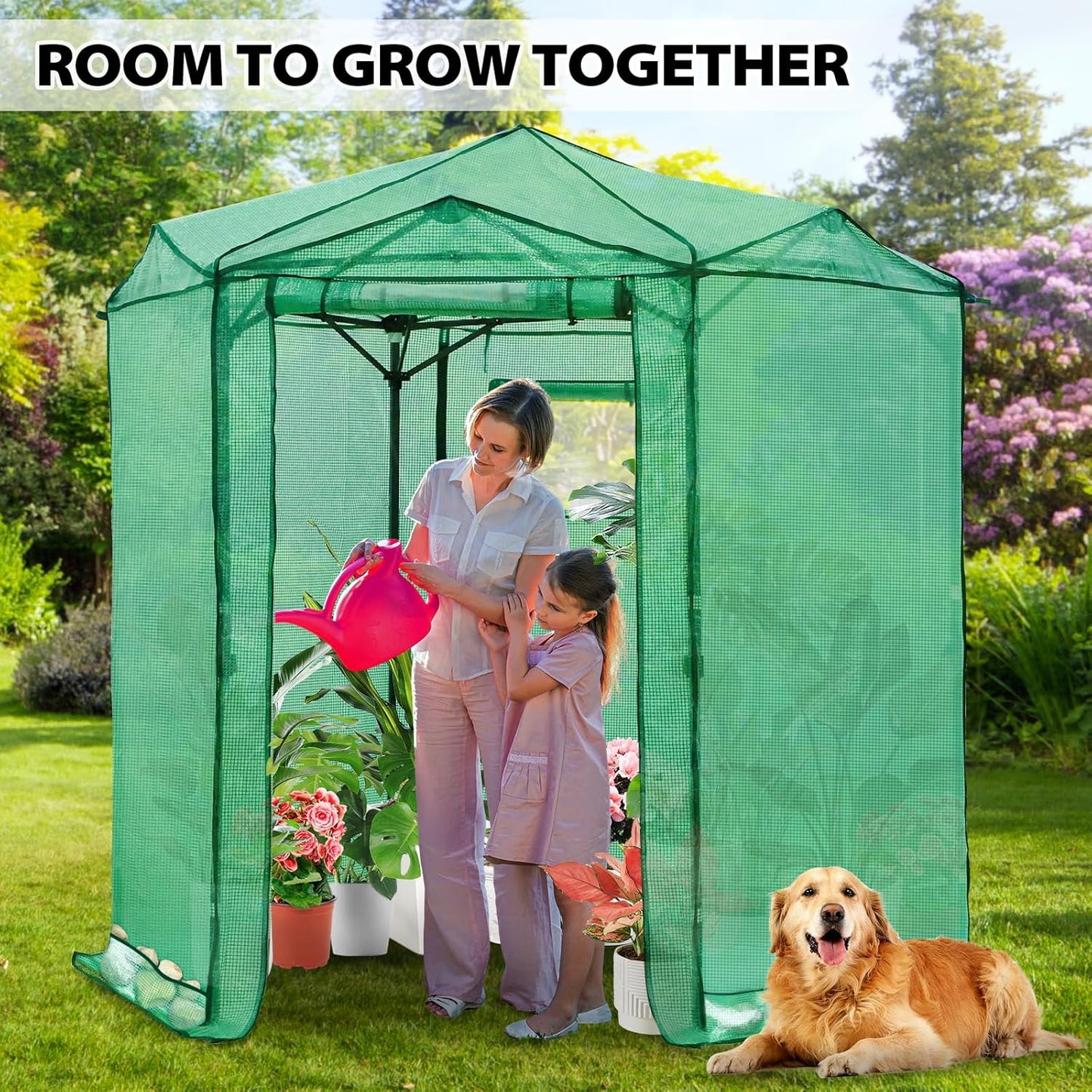 EAGLE PEAK 6.6x6.6 ft Hexagon Pop up Greenhouse, Portable Walk-in Grow Tent for Seed Starting, Garden Plants, Indoor Outdoor Green House, All-Weather Plant Shelter, PE Cover, Green/Clear