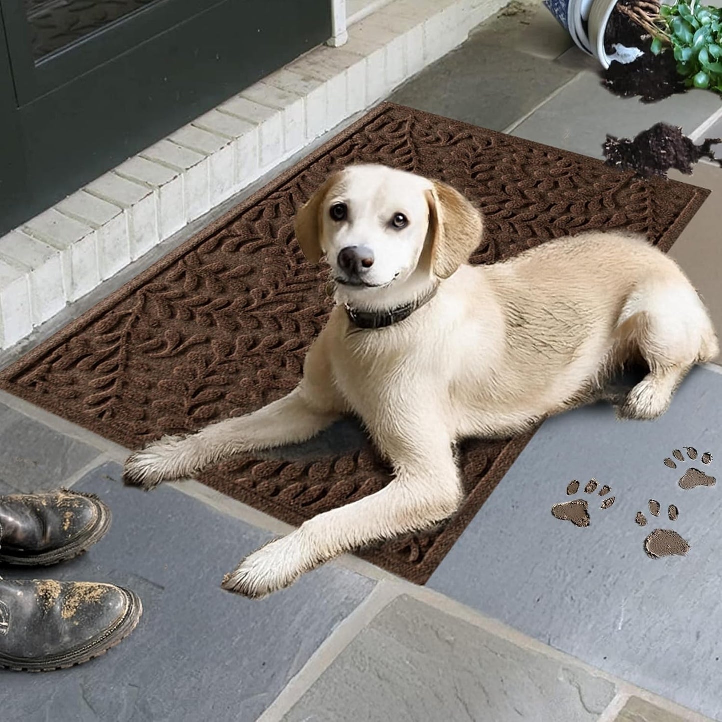 WaterHog Indoor/Outdoor Door Mat, 2' x 3', Made in USA, Durable & Skid-Resistant Front Door Rug, Decorative, Water-Trapping & Heavy-Duty Entryway Mat for Your Home, Boxwood Collection, Dark Brown