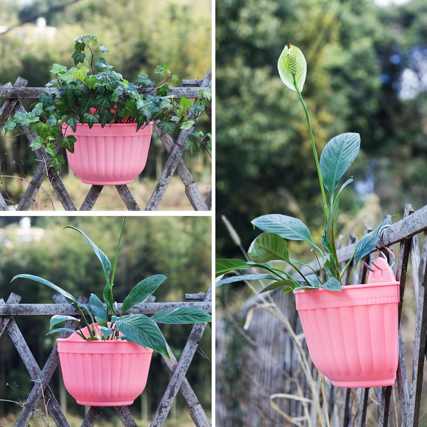 ORIMERC 4 Pcs Colorful Resin Wall Hanging Planter Pot Vertical Garden Living Wall Mount Window Hang Indoor Outdoor for Kitchen Herb Balcony Railing Shelf Fence Bedroom Trellis Décor