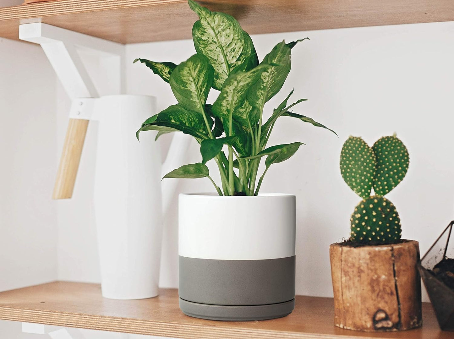 D'vine Dev 4.6 Inch & 6 Inch Ceramic Planter Pots for Plants with Drainage Hole and Saucer, Small Plant Pots Set, White/Speckled Grey, 94-G-S-6